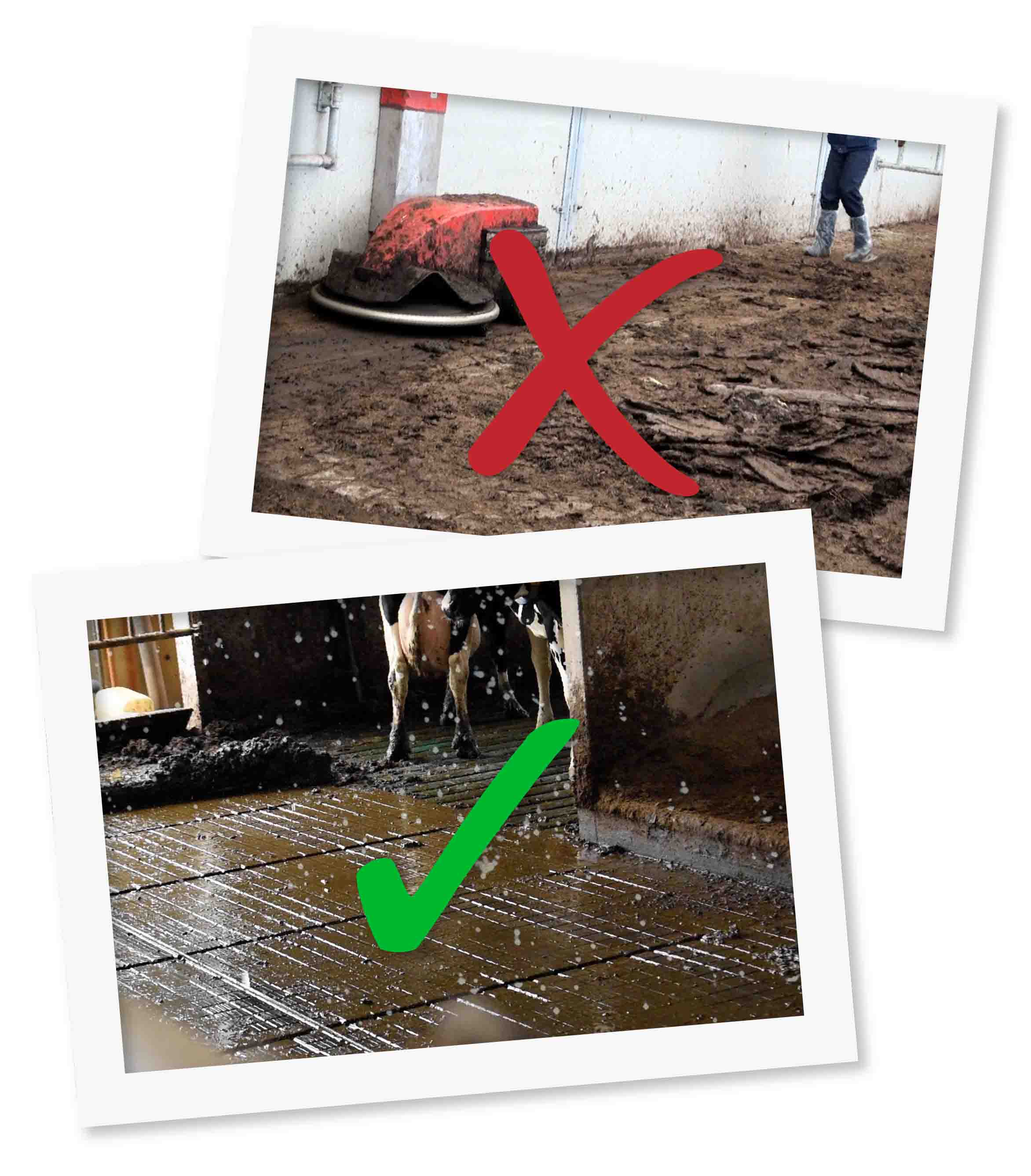 Spaltenboden Befeuchtung als Lösung für einen sauberen und hygienischen Stall